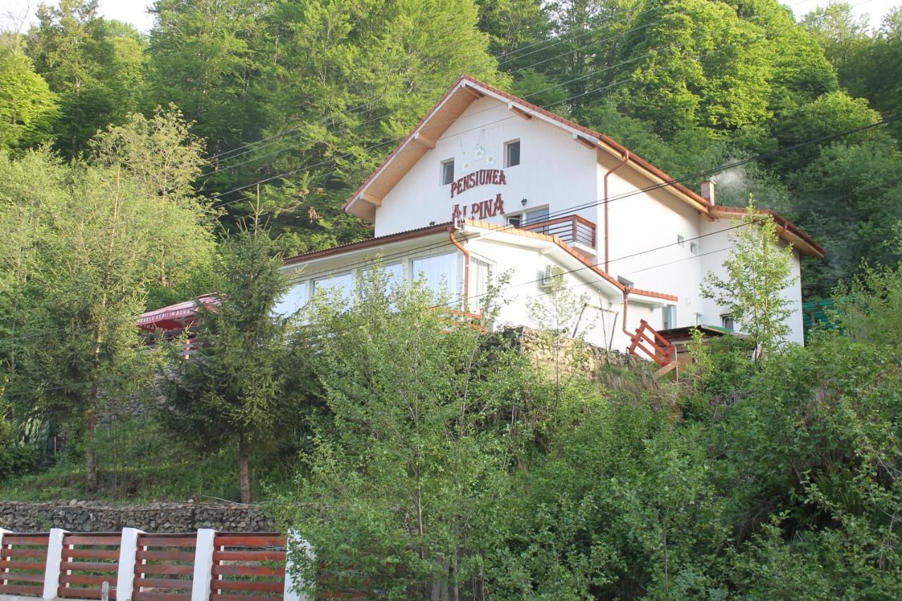 Гостевой дом Pensiunea Alpina Малая-16
